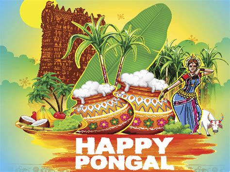 When is Pongal 2020? How it is celebrated? History, Legend, Story and ...