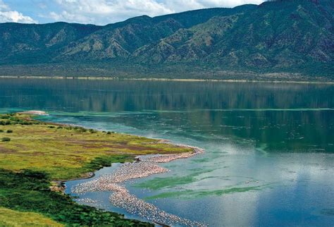 Kenya's Rift Valley Lakes | Pocketmags.com