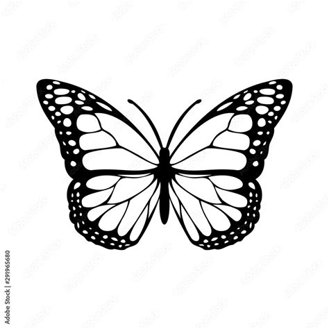 black and white butterfly silhouette Stock Illustration | Adobe Stock