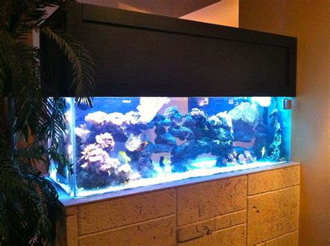 Saltwater fish tank | Cool fish tanks, Cool fish, Saltwater fish tanks