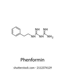 Phenformin Molecular Structure Flat Skeletal Chemical Stock Vector ...