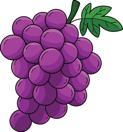 Grapes Fruit Cartoon Colored Clipart Illustration 21964649 Vector Art ...