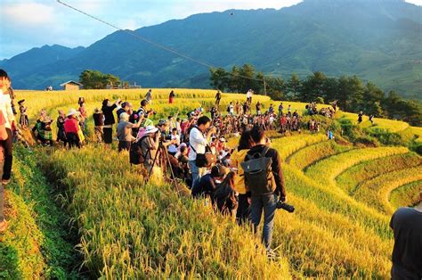 Festivals in Yen Bai: Mu Cang Chai Tours & Events - Impress Travel