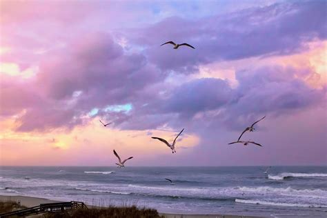 Outer Banks Sunrise Photograph by Mary Almond - Pixels