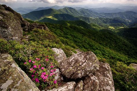 Geology and Wildlife of the Appalachian Mountains