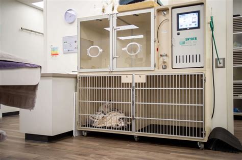 Veterinary ICU - An Intensive Care Unit For Your Pet