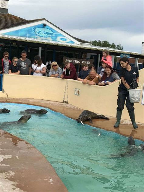 Skegness Natureland Seal Sanctuary Welcomes Dogs And Their Owners