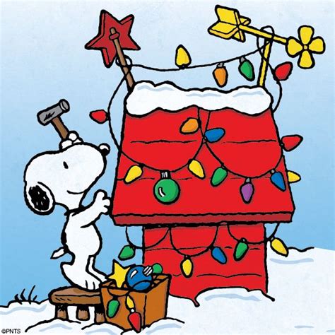 Snoopy's Christmas decoration | Snoopy christmas, Snoopy christmas ...