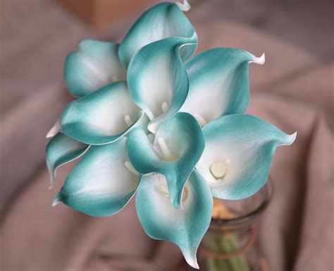 10 Teal White Center Calla Lilies Real Touch Flowers DIY Silk | Etsy