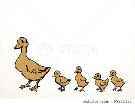 Mother duck with ducklings. Vector outline drawing - Stock Illustration ...