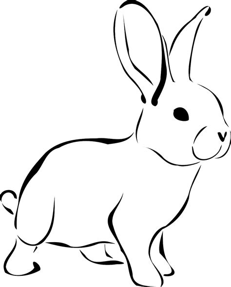 How To Draw A Bunny: The Fast And Easy Way | Caribu