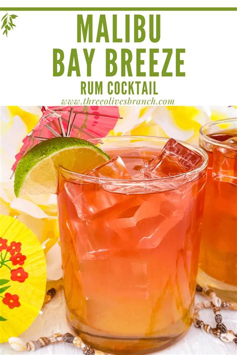 malibu bay breeze recipe pitcher - Dallas Breeden