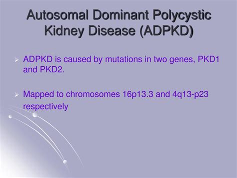 PPT - Genetics and Pathogenesis of Polycystic Kidney Disease PowerPoint ...