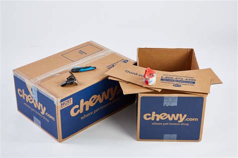 Chewy Box Craft: Cardboard DIY Craft Ideas Pet Beach Shack | BeChewy