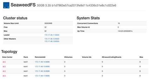 SeaweedFS 高可用方案最佳实践_分布式文件系统_冰心的小屋_InfoQ写作社区