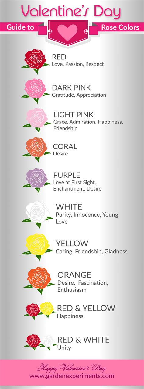 The Meaning of Rose Colors: A Valentine's Day Guide