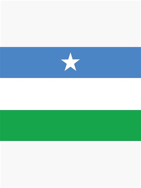 "Flag of Puntland" Poster for Sale by wickedcartoons | Redbubble