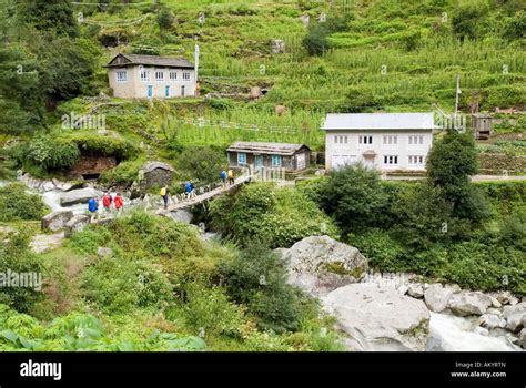 Trekking group, Solukhumbu, Khumbu, Mount Everest Region, Nepal Stock ...