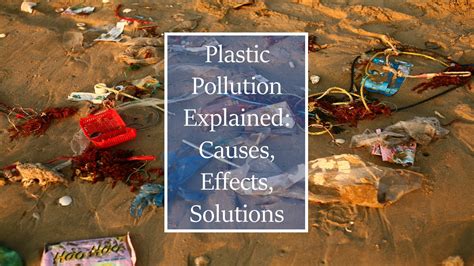 Plastic Pollution Explained: Causes, Effects, Solutions - Yo Nature