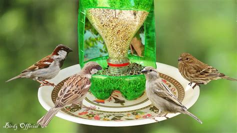 Homemade Bird Feeders From Plastic Bottles