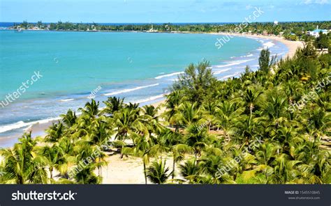 2,453 Puerto Rico Palm Trees Beach Images, Stock Photos & Vectors ...