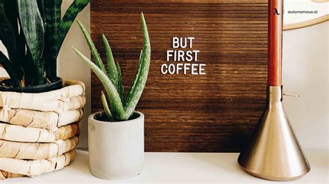 10 Best Office Desk Plants That Bring the Green to Workspace