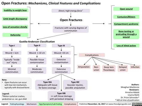 Open Fractures: Mechanisms, Clinical Features and Complications ...