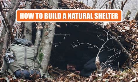 How To Create A Natural Shelter - Survival Dispatch