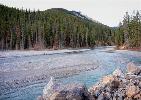 North Saskatchewan River Photograph by Catherine Reading - Fine Art America