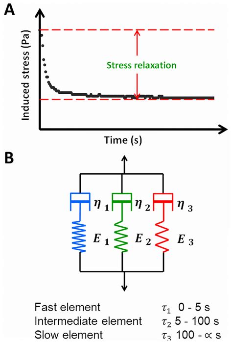 Measurement and Maxwell model of the viscoelasticity of biofilms. (A ...