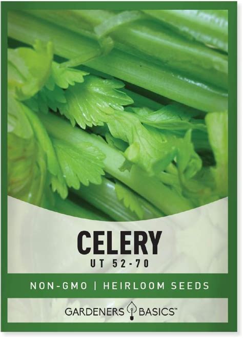 Celery Seeds For Planting: Easy Way To Grow Your Home Garden