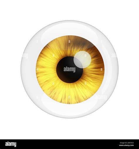 Realistic Human Yellow Eye with Reflections on a white background. 3d ...