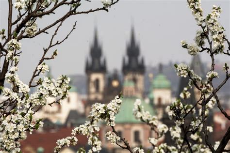 Spring Prague | Copyright-free photo (by M. Vorel) | LibreShot