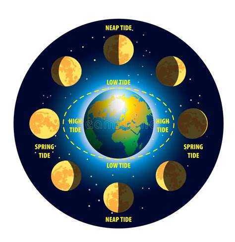 How the Moon Phases and Tides Affect the Oceans » star-planete.net