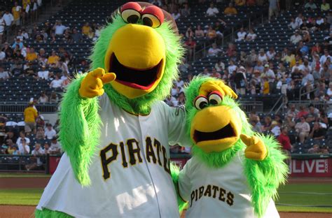 Pirate Parrot - PIttsburgh Pirates - SportMascots.com