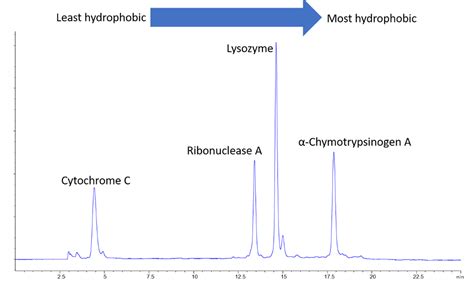 HPLC - A Beginner’s Guide to Hydrophobic Interaction Chromatography ...