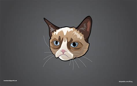 Grumpy Cat, Grumpy Cat Meme HD wallpaper | Pxfuel