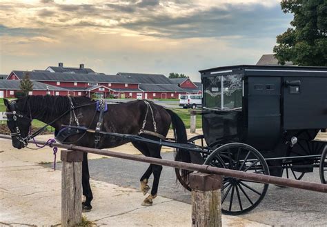 7 Amish Experiences To Have During Your Trip To Indiana Amish Country