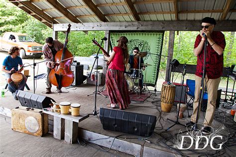 Daydream Galleries | Farm Fest Music Festival