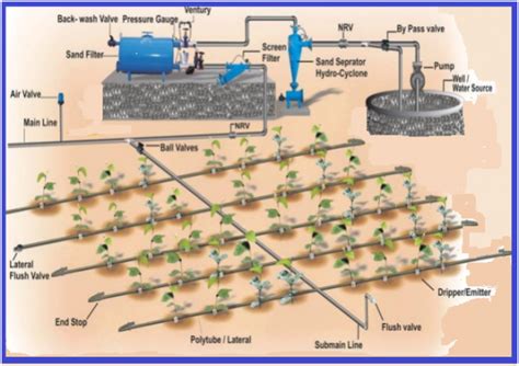 Different types of Irrigation System