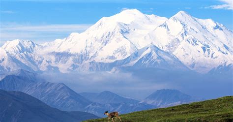 Denali National Park: Beautiful and wild