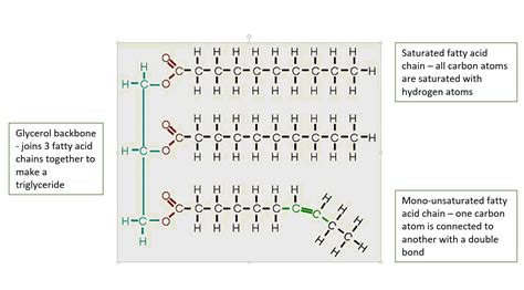 triglyceride | Julianne's Paleo & Zone Nutrition