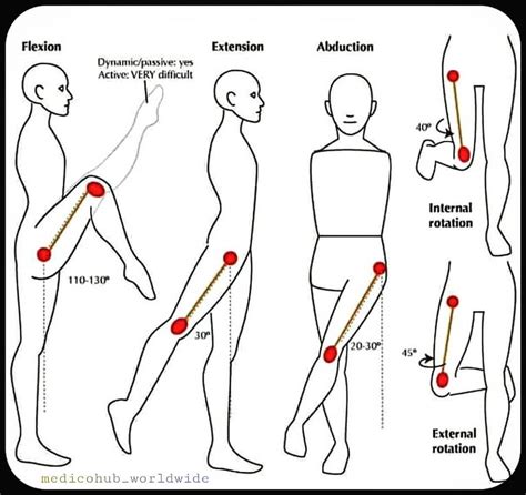 MedicoHub💉 WorldWide on Instagram: “Body Movements ® Follow Us ...