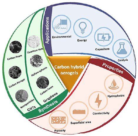 photocatalytic degradation of organic pollutants in water. | Download ...