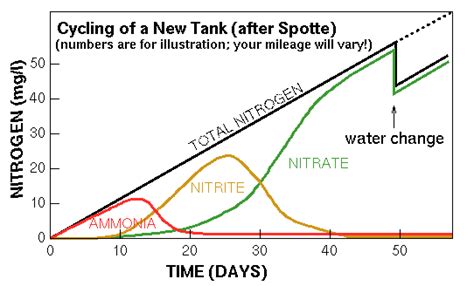 Beginner FAQ: The Nitrogen Cycle