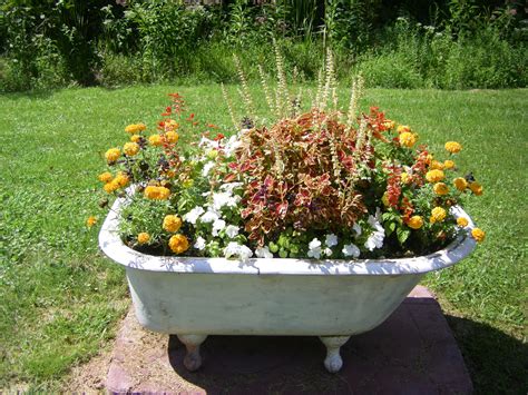 flower garden in tub