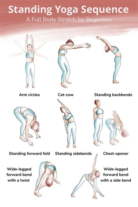 Yoga Exercises For Beginners With Pictures | Blog Dandk