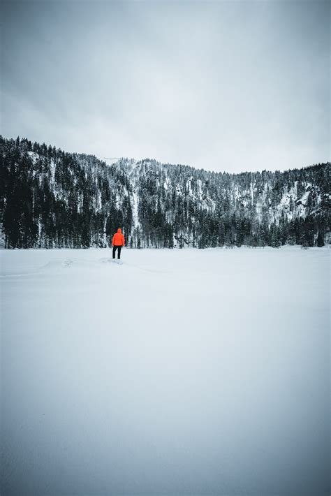 Black Forest - Winter on Behance