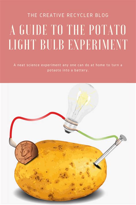 A Guide to the Potato Light Bulb Experiment | 1, 2 Potato | Potato ...