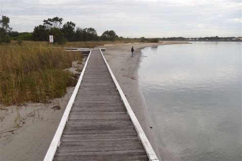 Fishermen and scientists search for answers as prawns disappear from ...